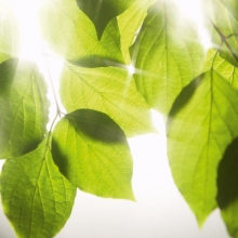 Ventilacija saune